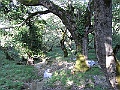 R0010218