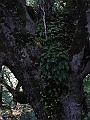 R0010219