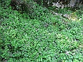 R0010228