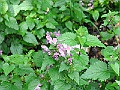R0010229