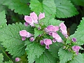 R0010230