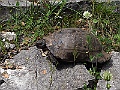 R0010240