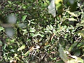 R0010241