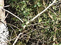 R0010242