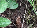 R0010244