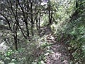 R0010246