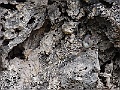 R0010266