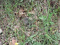 R0010268