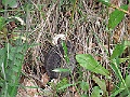R0010271