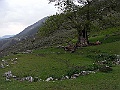 R0010276