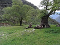 R0010277