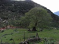 R0010278