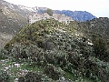 R0010289