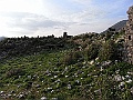 R0010298