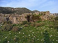 R0010299