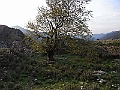 R0010308