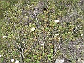 R0010315
