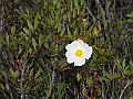 R0010316