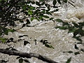 R0010323