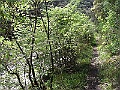 R0010325
