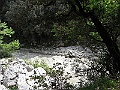R0010326