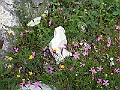 R0010338