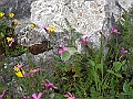 R0010339
