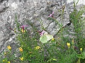 R0010340