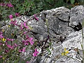 R0010341