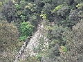 R0010346