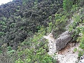 R0010349