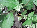 R0010351