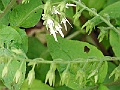 R0010353