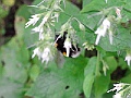 R0010354