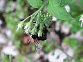 R0010356