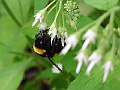 R0010357