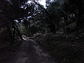 R0010360