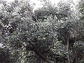 R0010361