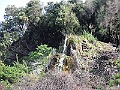 R0010363