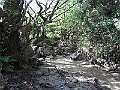 R0010369