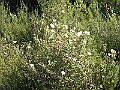 R0010371