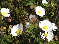 R0010372