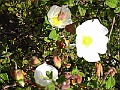 R0010374