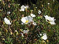R0010375