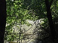 R0010382