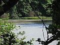 R0010384