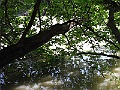 R0010385