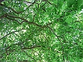 R0010386