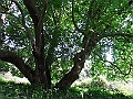 R0010389