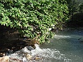 R0010390